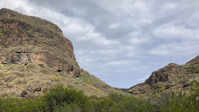 Desert-like landscape